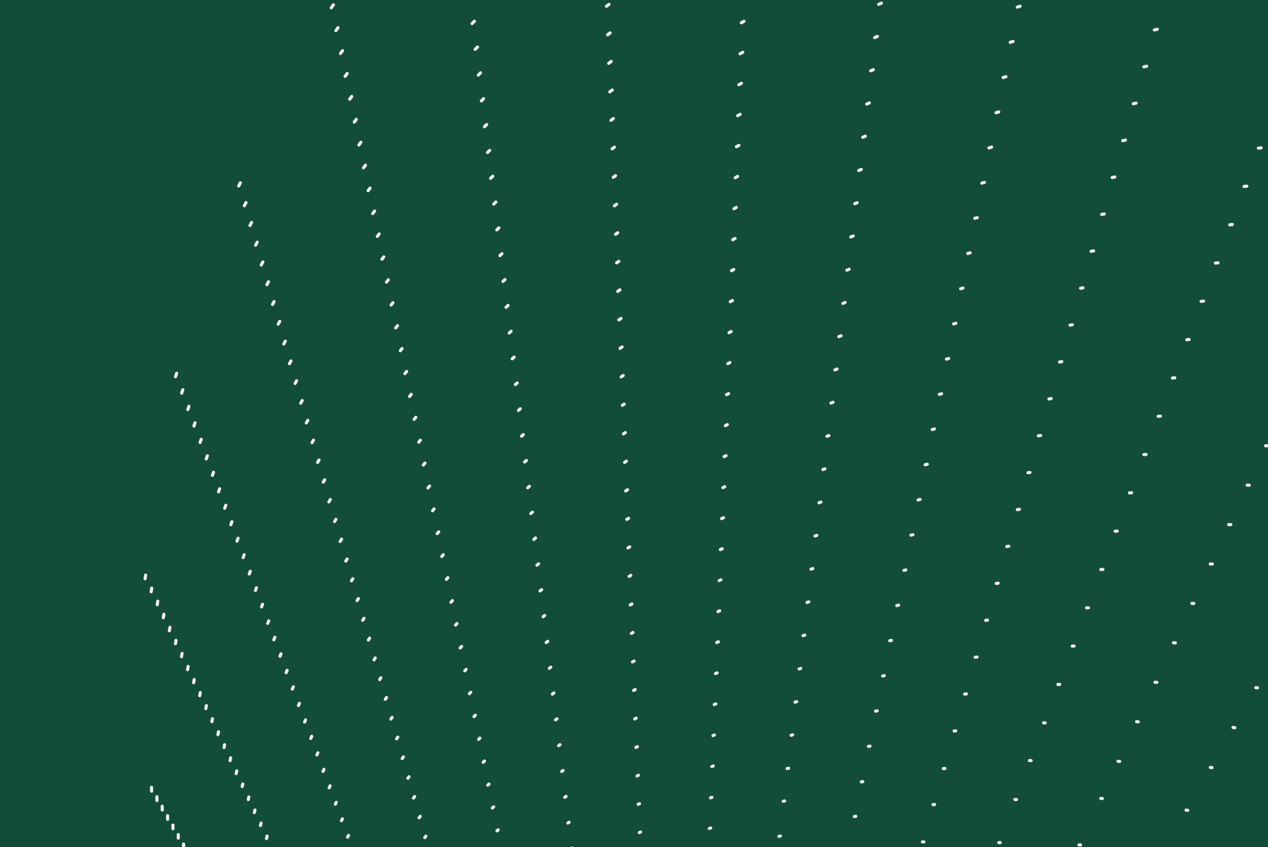 visuel génératif composé de points
